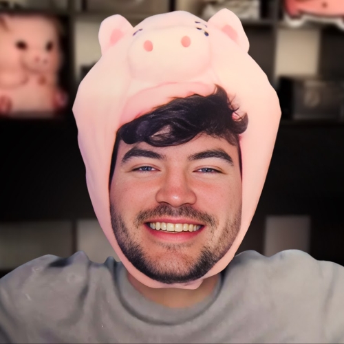 AloisNL's Twitch.tv profile picture.