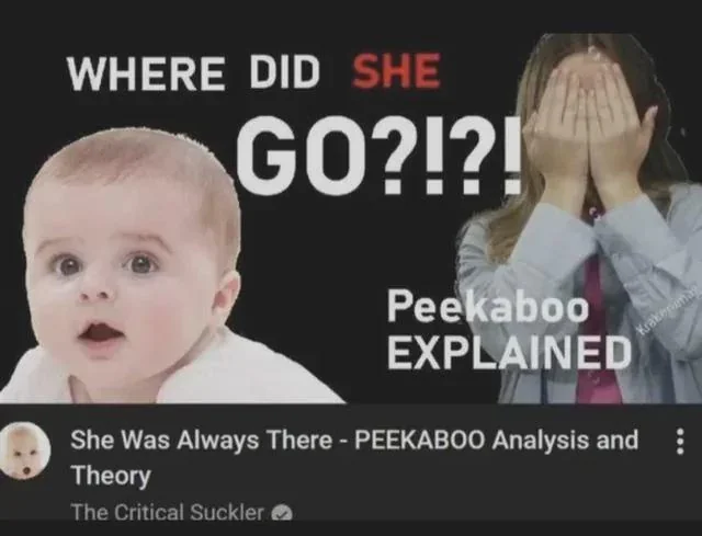 Peakaboo Explained